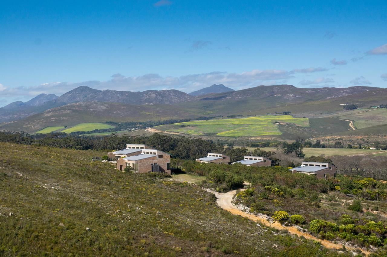 Phillipskop Mountain Reserve Stanford