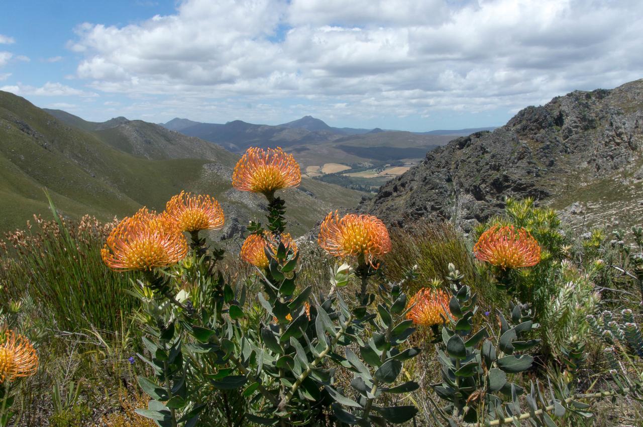 Phillipskop Mountain Reserve Chalet Stanford