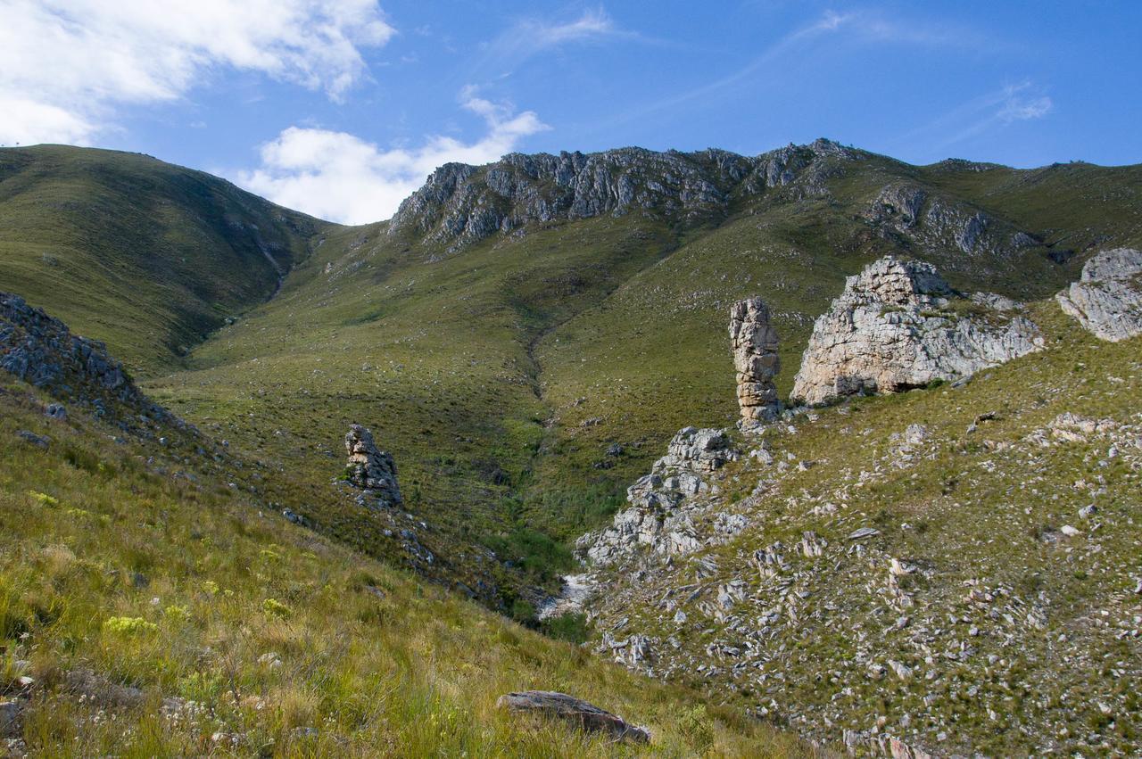 Phillipskop Mountain Reserve *