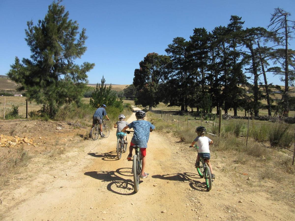 Phillipskop Mountain Reserve Chalet Stanford
